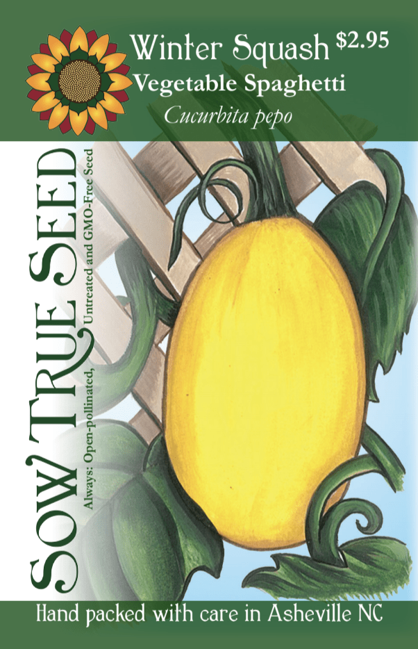 Winter Squash Seeds - Vegetable Spaghetti - Sow True Seed
