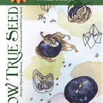 Tomatillo Seeds - Purple - Sow True Seed
