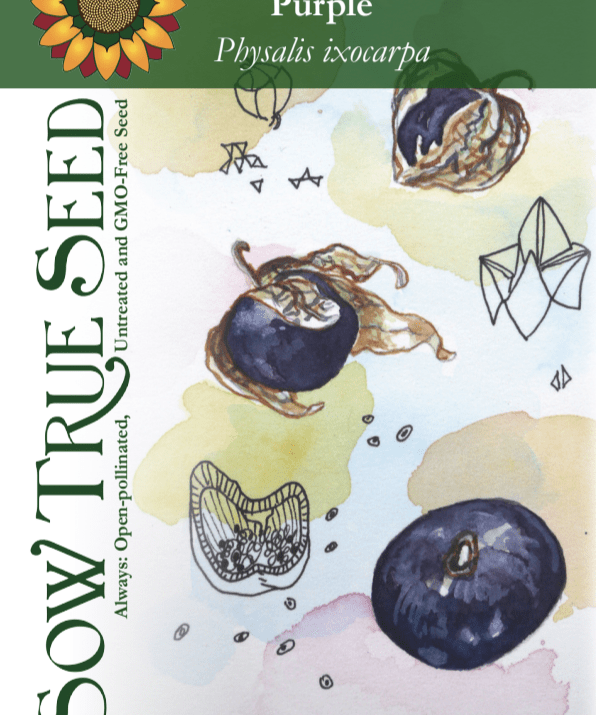 Tomatillo Seeds - Purple - Sow True Seed
