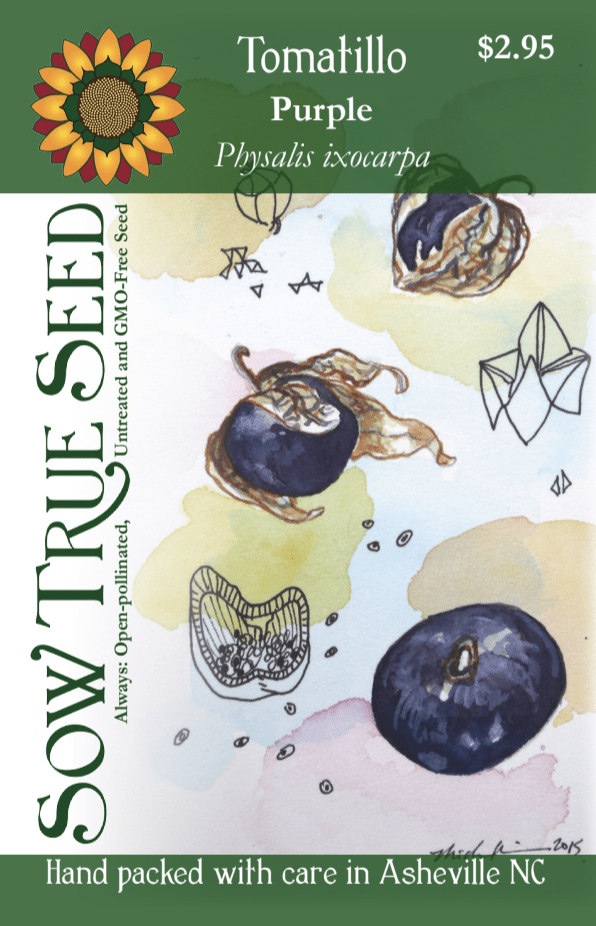 Tomatillo Seeds - Purple - Sow True Seed