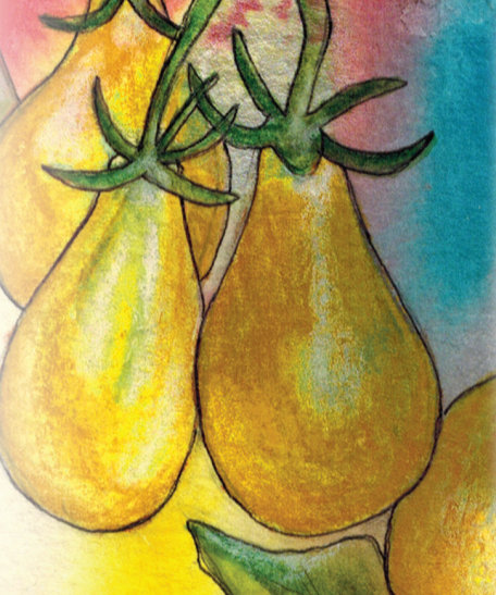 Cherry Tomato Seeds - Yellow Pear - Sow True Seed