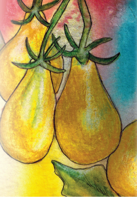 Cherry Tomato Seeds - Yellow Pear - Sow True Seed