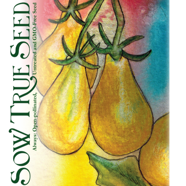 Cherry Tomato Seeds - Yellow Pear - Sow True Seed