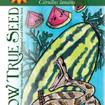 Watermelon Seeds - Georgia Rattlesnake - Sow True Seed