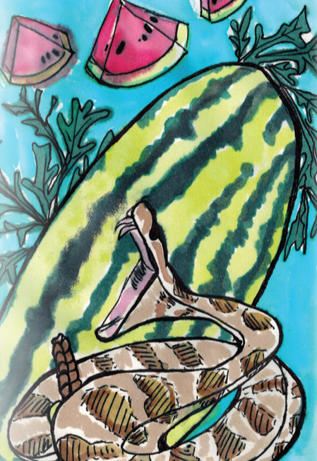 Watermelon Seeds - Georgia Rattlesnake - Sow True Seed