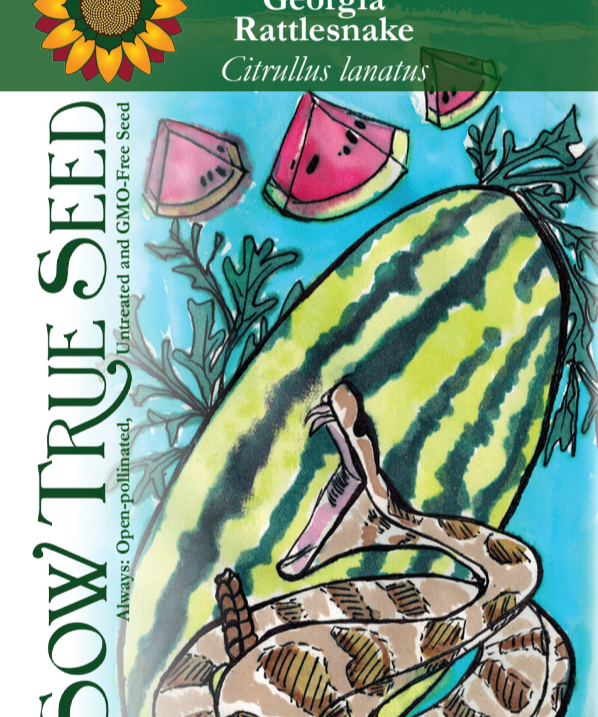 Watermelon Seeds - Georgia Rattlesnake - Sow True Seed