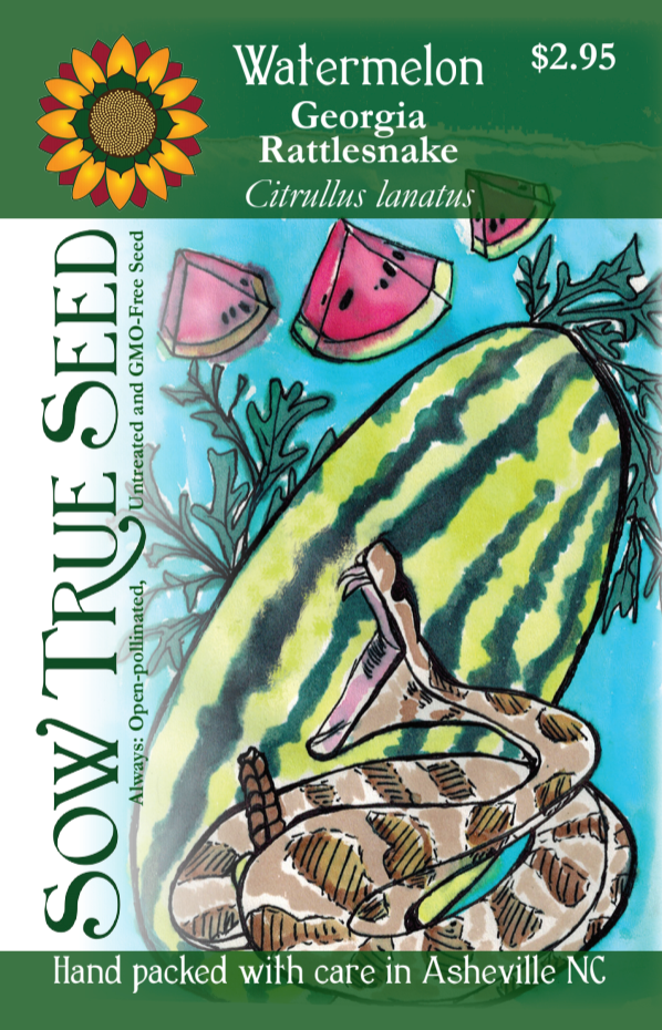 Watermelon Seeds - Georgia Rattlesnake - Sow True Seed