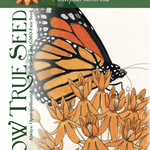 Milkweed Seeds - Butterfly - Sow True Seed