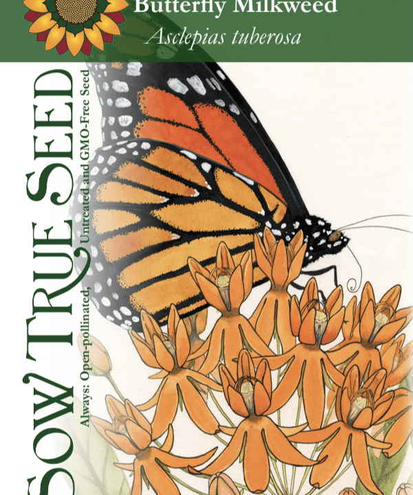 Milkweed Seeds - Butterfly - Sow True Seed