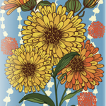 Calendula Seeds - Pacific Beauty - Sow True Seed