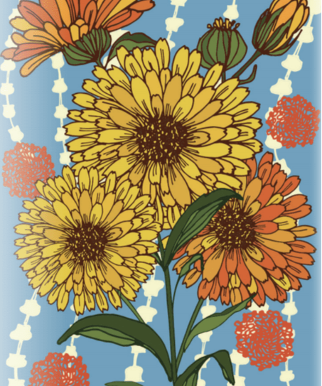 Calendula Seeds - Pacific Beauty - Sow True Seed