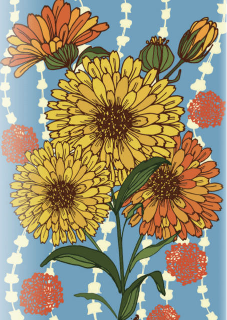 Calendula Seeds - Pacific Beauty - Sow True Seed