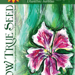 Dianthus Seeds - Sweet William Single Mix - Sow True Seed