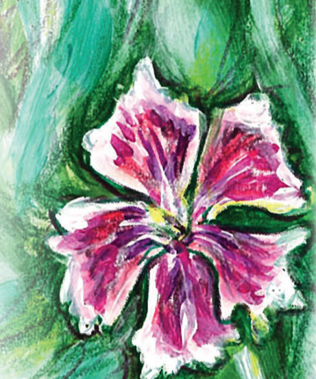 Dianthus Seeds - Sweet William Single Mix - Sow True Seed