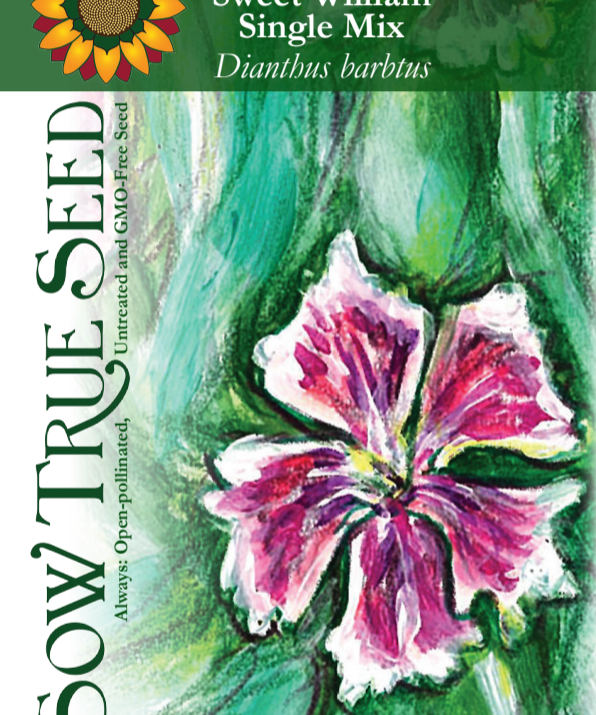 Dianthus Seeds - Sweet William Single Mix - Sow True Seed