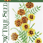 Marigold Seeds - Sparky Mix - Sow True Seed