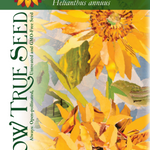 Sunflower Seeds - Mammoth Grey Stripe - Sow True Seed