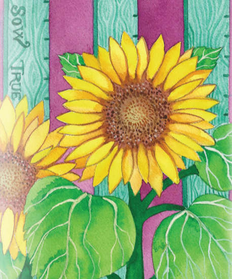 Sunflower Seeds - Sunspot Dwarf - Sow True Seed