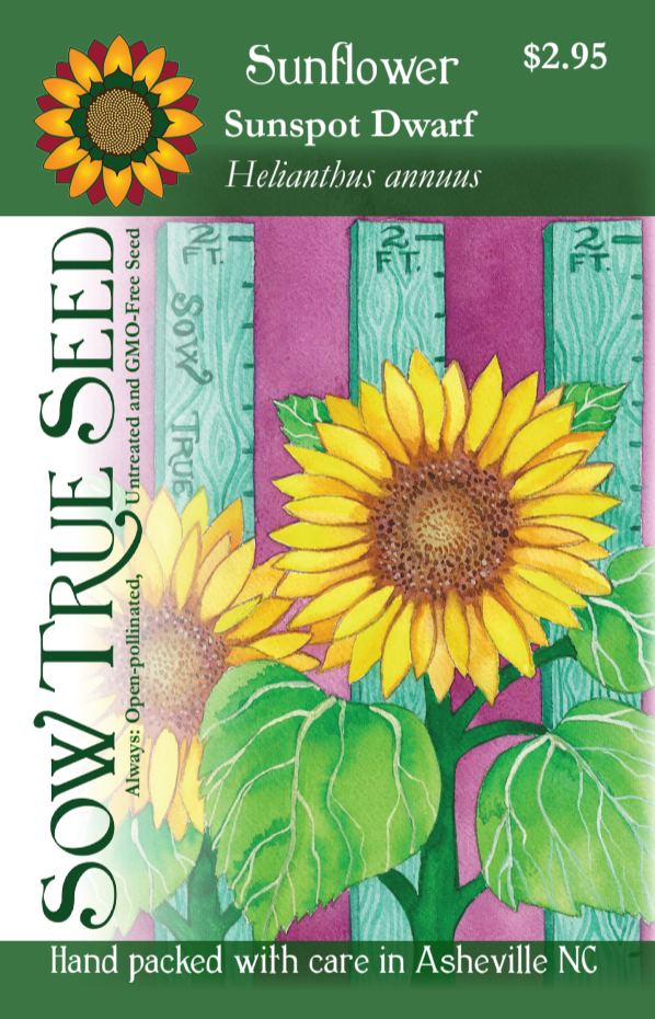 Sunflower Seeds - Sunspot Dwarf - Sow True Seed