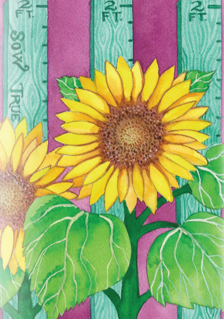 Sunflower seed - Sunspot Dwarf: 10" blooms on 2' tall plants. – Sow ...