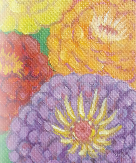 Zinnia Seeds - California Giants Mix - Sow True Seed