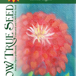 Zinnia Seeds - Cherry Queen - Sow True Seed