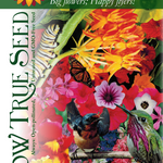 Flower Seed Mix - Hummingbird, Butterfly, Songbird - Sow True Seed