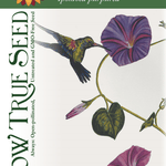 Morning Glory Seeds - Grandpa Ott's - Sow True Seed