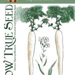 Radish Seeds - Daikon, Japanese Minowase - Sow True Seed
