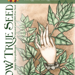 Summer Spinach Seeds - New Zealand - Sow True Seed