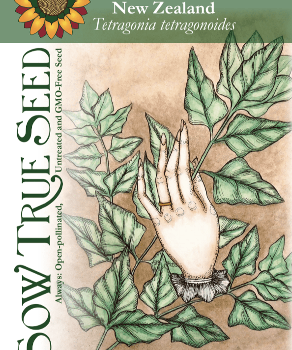 Summer Spinach Seeds - New Zealand - Sow True Seed
