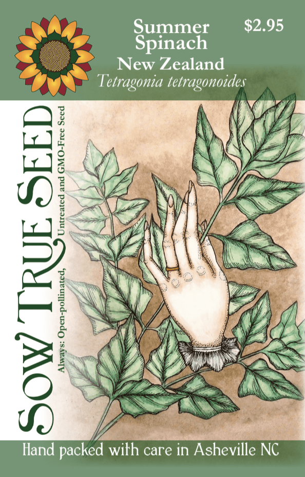Summer Spinach Seeds - New Zealand - Sow True Seed