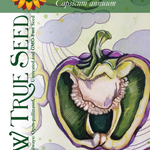 Sweet Pepper Seeds - Purple Beauty - Sow True Seed