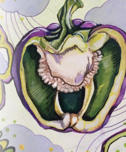 Sweet Pepper Seeds - Purple Beauty - Sow True Seed