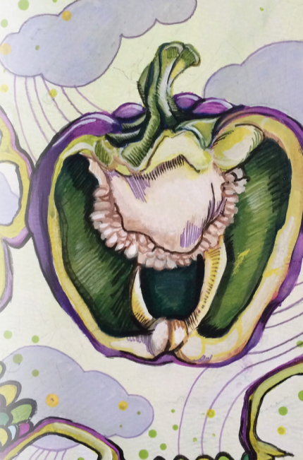 Sweet Pepper Seeds - Purple Beauty - Sow True Seed