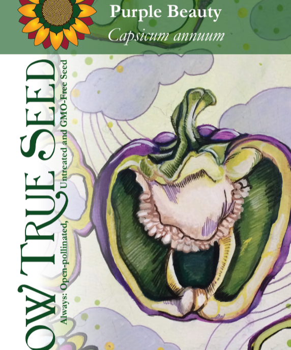 Sweet Pepper Seeds - Purple Beauty - Sow True Seed