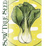 Asian Greens Seeds - Pak Choi - Sow True Seed
