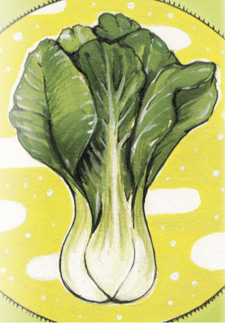 Asian Greens Seeds - Pak Choi - Sow True Seed