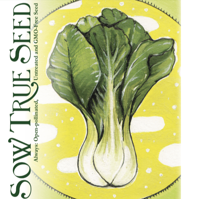 Asian Greens Seeds - Pak Choi - Sow True Seed