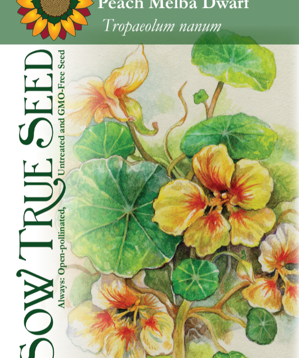 Nasturtium Seeds - Peach Melba Dwarf - Sow True Seed