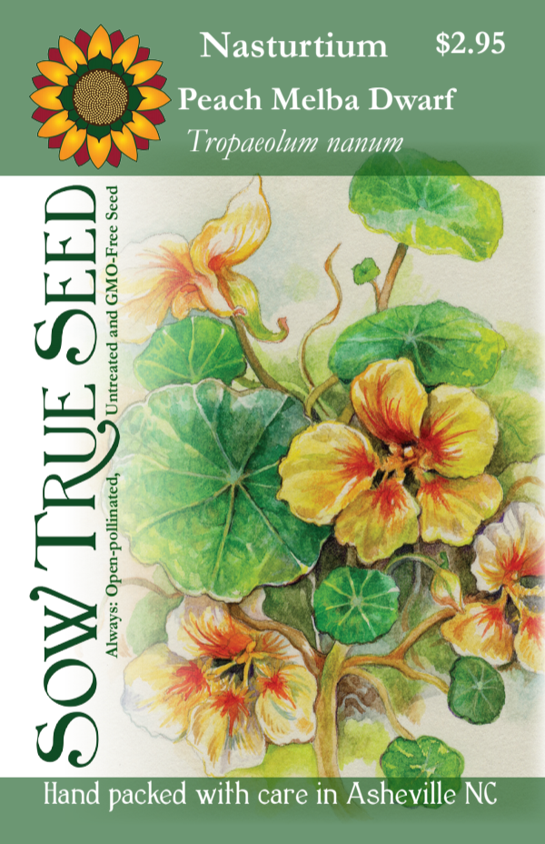 Nasturtium Seeds - Peach Melba Dwarf - Sow True Seed