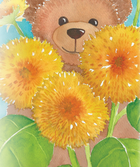 Sunflower Seeds - Teddy Bear - Sow True Seed