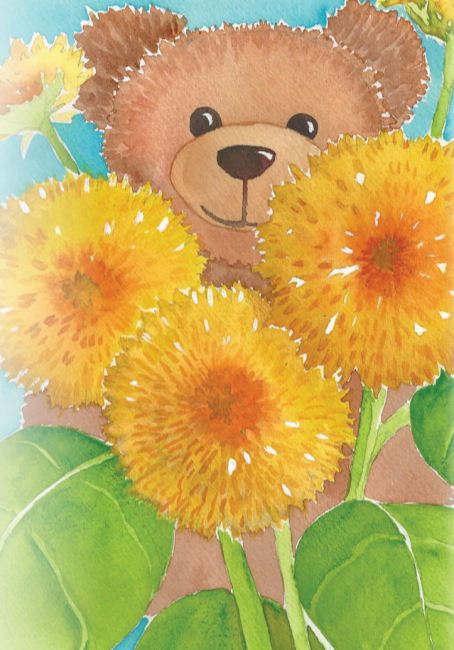 Sunflower Seeds - Teddy Bear - Sow True Seed