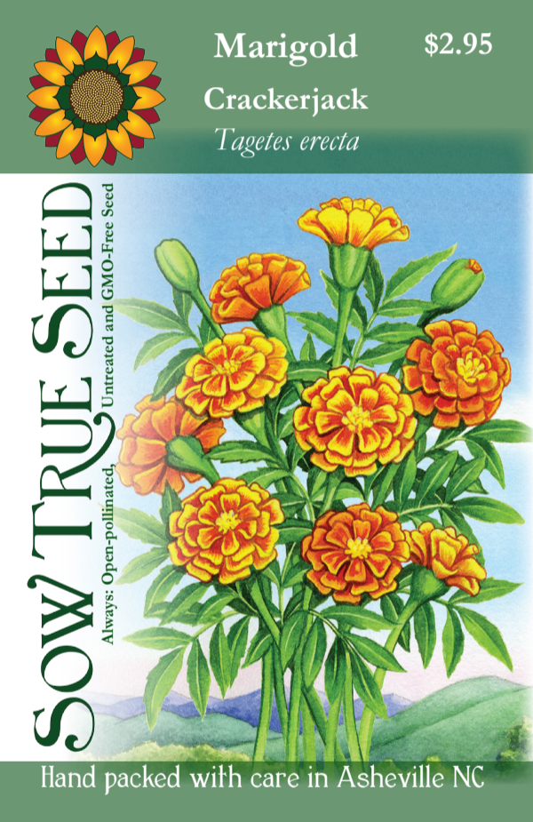 Marigold Seeds - Crackerjack - Sow True Seed