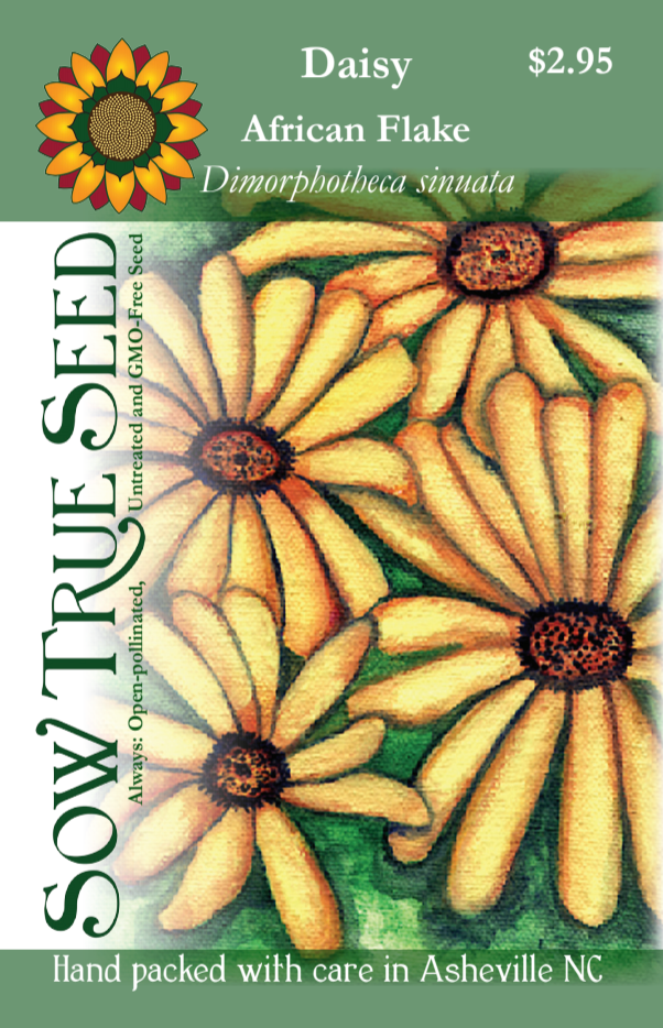 Daisy Seeds - African Flake - Sow True Seed