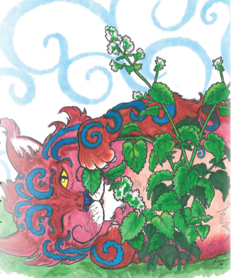 Catnip Seeds - Sow True Seed