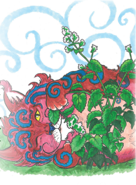 Catnip Seeds - Sow True Seed