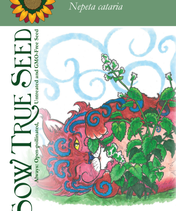 Catnip Seeds - Sow True Seed