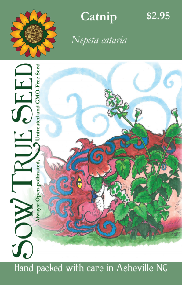 Catnip Seeds - Sow True Seed