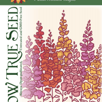 Snapdragon Seeds - Tetra Mix - Sow True Seed